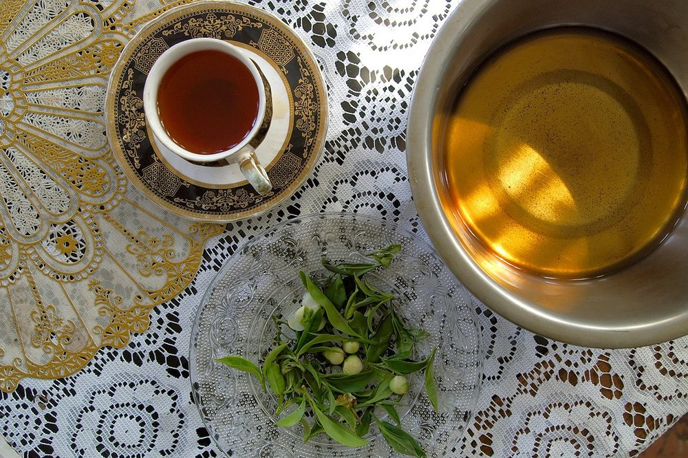 Té Negro Darjeeling
