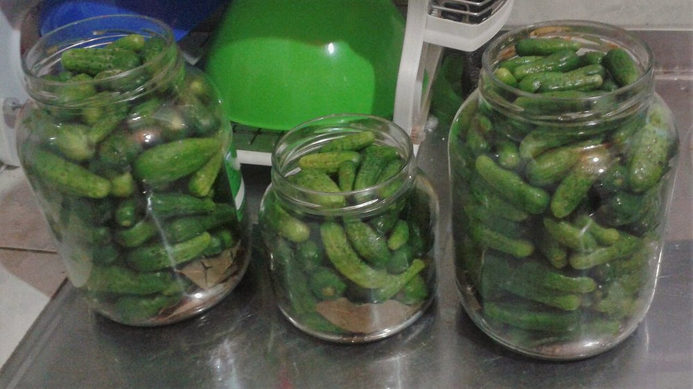 Sup. Pepinillo Agridulce